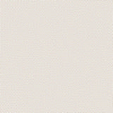 Rohi Credo 01727.02_snow.jpg
